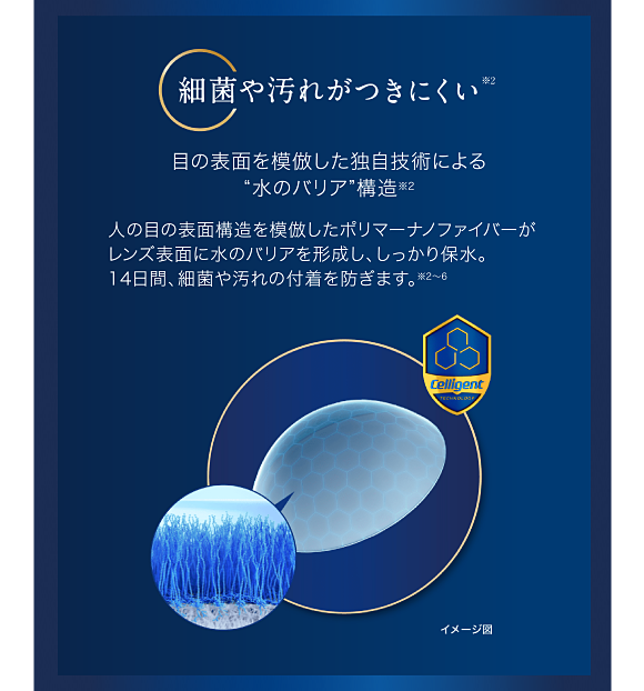 細菌や汚れがつきにくい