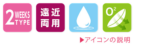 アイコンの説明